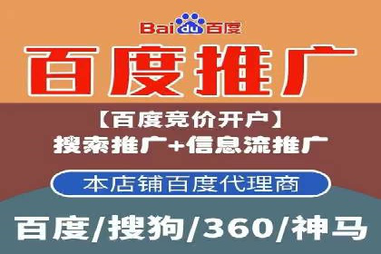 百度竞价赚钱秘诀：实战案例分析